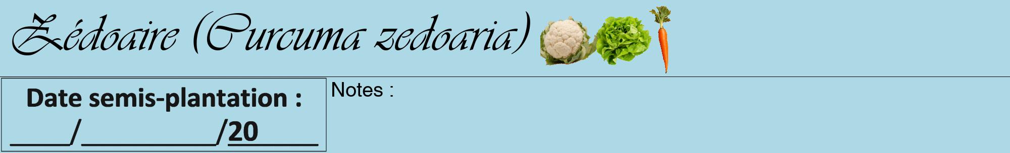 Étiquette de : Curcuma zedoaria - format a - style noire0viv avec comestibilité simplifiée