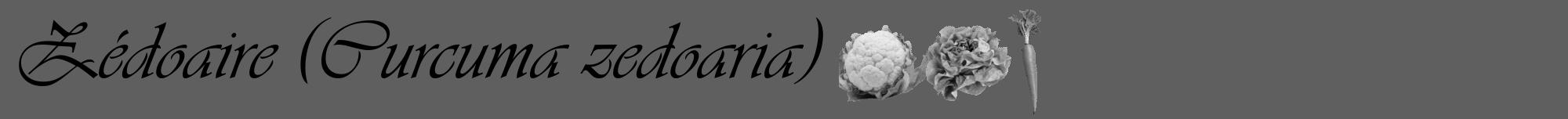 Étiquette de : Curcuma zedoaria - format a - style noire10viv avec comestibilité simplifiée