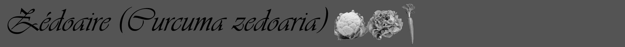 Étiquette de : Curcuma zedoaria - format a - style noire30viv avec comestibilité simplifiée