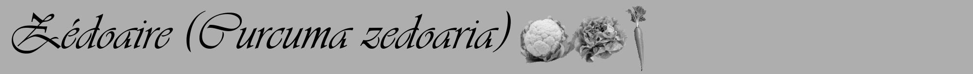 Étiquette de : Curcuma zedoaria - format a - style noire53viv avec comestibilité simplifiée