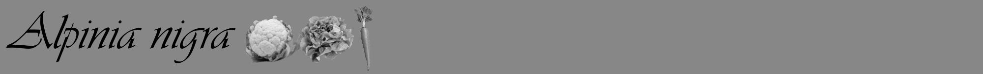 Étiquette de : Alpinia nigra - format a - style noire12viv avec comestibilité simplifiée