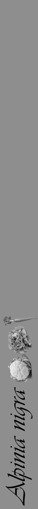 Étiquette de : Alpinia nigra - format a - style noire25viv avec comestibilité simplifiée - position verticale