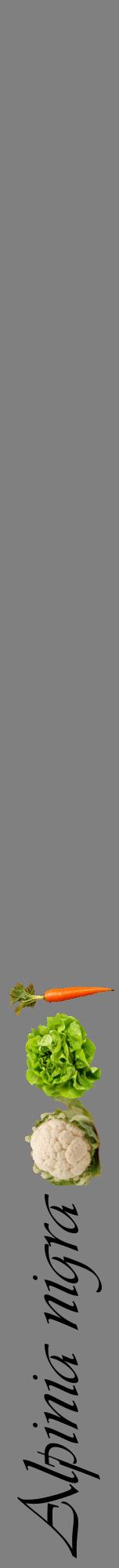Étiquette de : Alpinia nigra - format a - style noire57viv avec comestibilité simplifiée