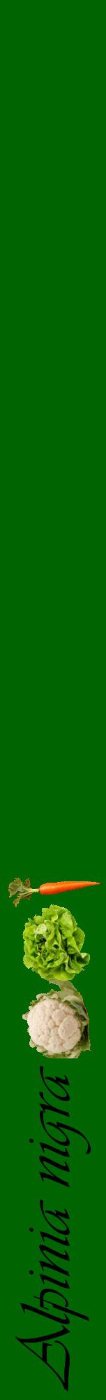 Étiquette de : Alpinia nigra - format a - style noire8viv avec comestibilité simplifiée