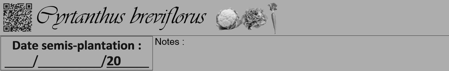 Étiquette de : Cyrtanthus breviflorus - format a - style noire22basiqueviv avec qrcode et comestibilité simplifiée