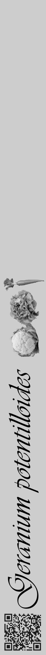 Étiquette de : Geranium potentilloides - format a - style noire41viv avec qrcode et comestibilité simplifiée - position verticale