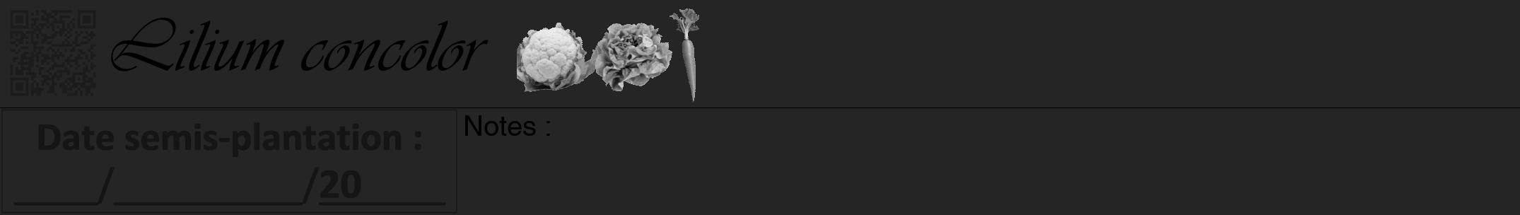 Étiquette de : Lilium concolor - format a - style noire47viv avec qrcode et comestibilité simplifiée