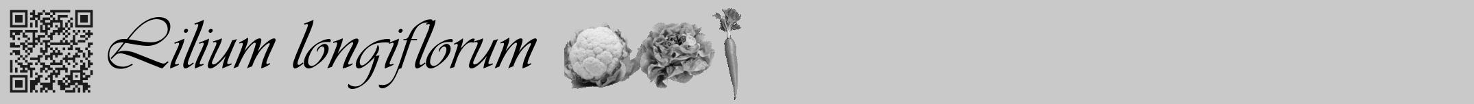 Étiquette de : Lilium longiflorum - format a - style noire54viv avec qrcode et comestibilité simplifiée