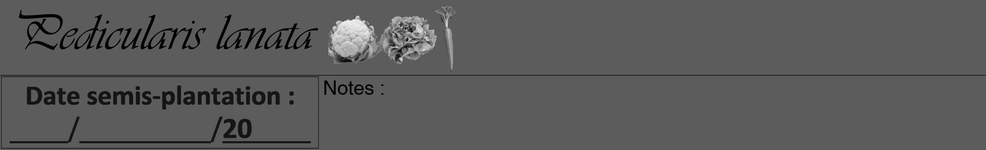 Étiquette de : Pedicularis lanata - format a - style noire49viv avec comestibilité simplifiée