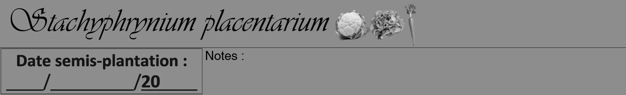 Étiquette de : Stachyphrynium placentarium - format a - style noire2viv avec comestibilité simplifiée