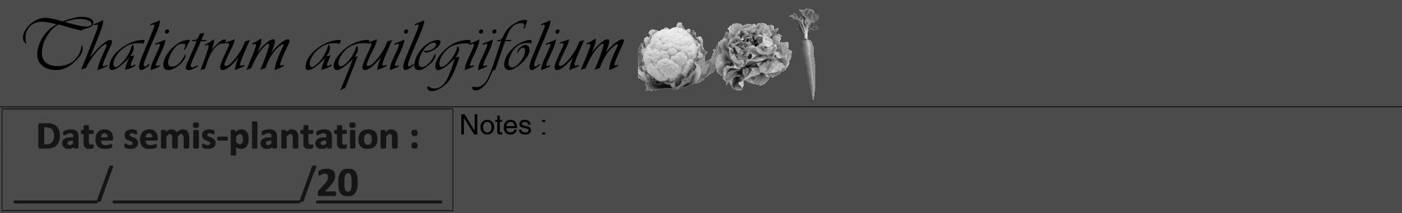 Étiquette de : Thalictrum aquilegiifolium - format a - style noire9viv avec comestibilité simplifiée