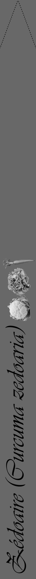 Étiquette de : Curcuma zedoaria - format b - style noire6viv avec comestibilité simplifiée - position verticale