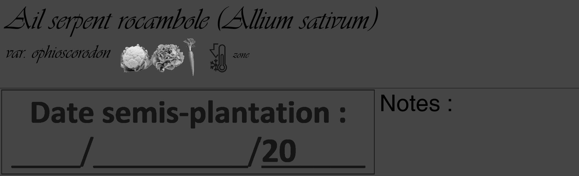 Étiquette de : Allium sativum var. ophioscorodon - format c - style noire58_basique_basiqueviv avec comestibilité simplifiée