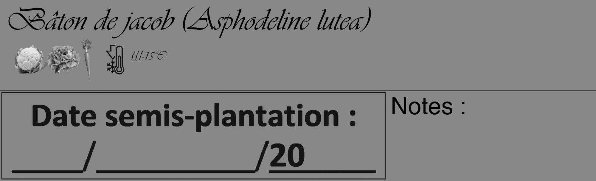 Étiquette de : Asphodeline lutea - format c - style noire12_basique_basiqueviv avec comestibilité simplifiée