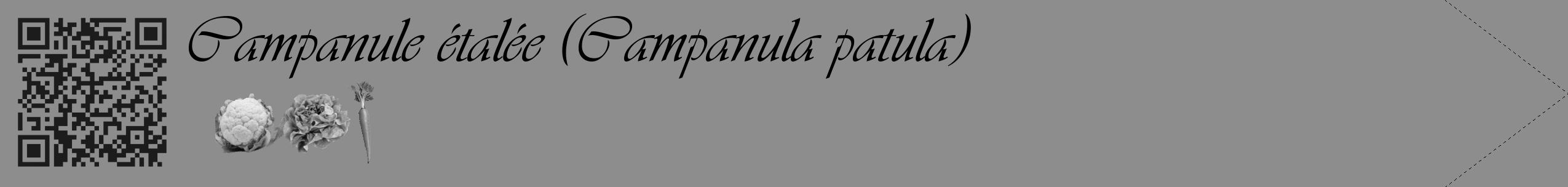 Étiquette de : Campanula patula - format c - style noire2_simple_simpleviv avec qrcode et comestibilité simplifiée