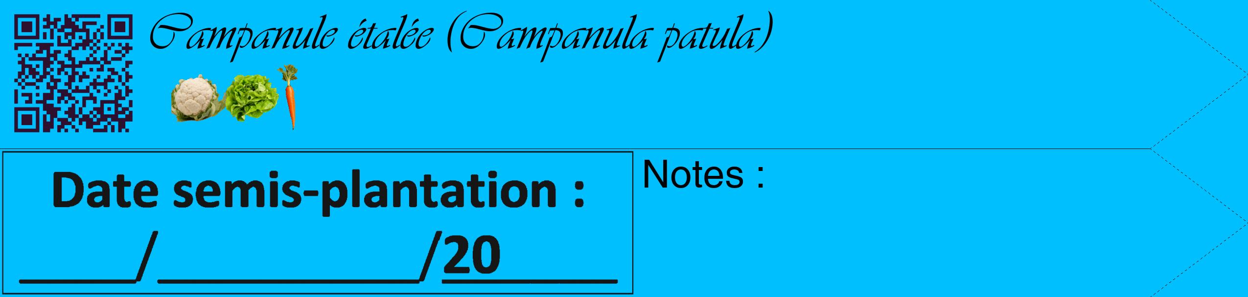 Étiquette de : Campanula patula - format c - style noire2_simple_simpleviv avec qrcode et comestibilité simplifiée