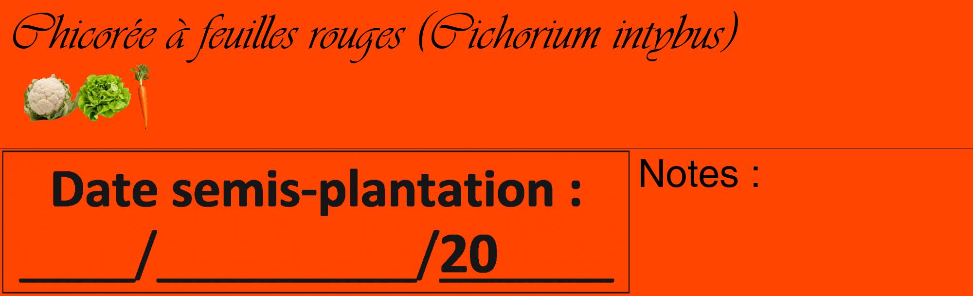 Étiquette de : Cichorium intybus - format c - style noire26basique_basique_basiqueviv avec comestibilité simplifiée