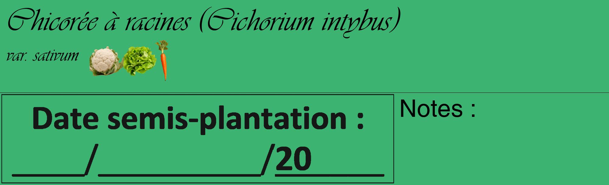 Étiquette de : Cichorium intybus var. sativum - format c - style noire12_basique_basiqueviv avec comestibilité simplifiée