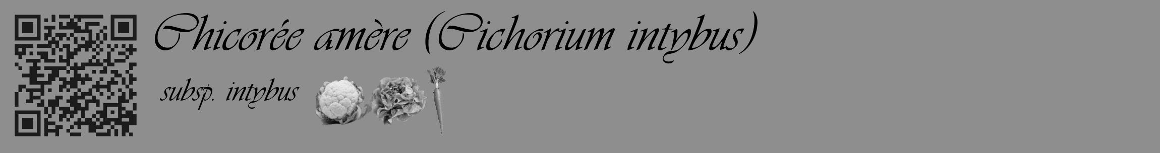 Étiquette de : Cichorium intybus subsp. intybus - format c - style noire25_basique_basiqueviv avec qrcode et comestibilité simplifiée