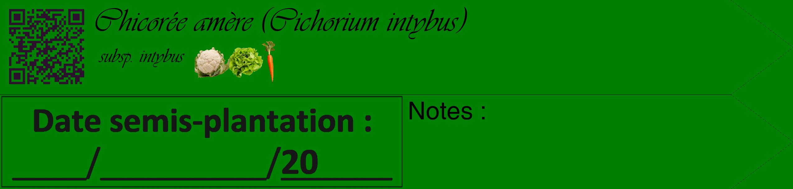 Étiquette de : Cichorium intybus subsp. intybus - format c - style noire9_simple_simpleviv avec qrcode et comestibilité simplifiée
