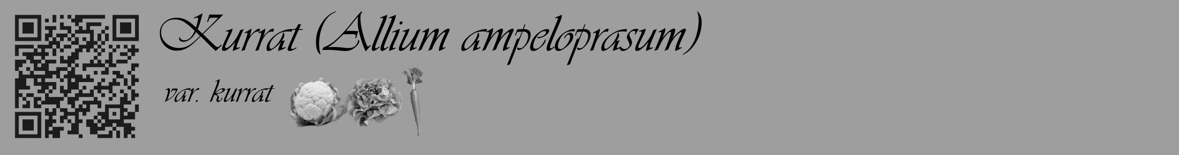 Étiquette de : Allium ampeloprasum var. kurrat - format c - style noire23basique_basique_basiqueviv avec qrcode et comestibilité simplifiée