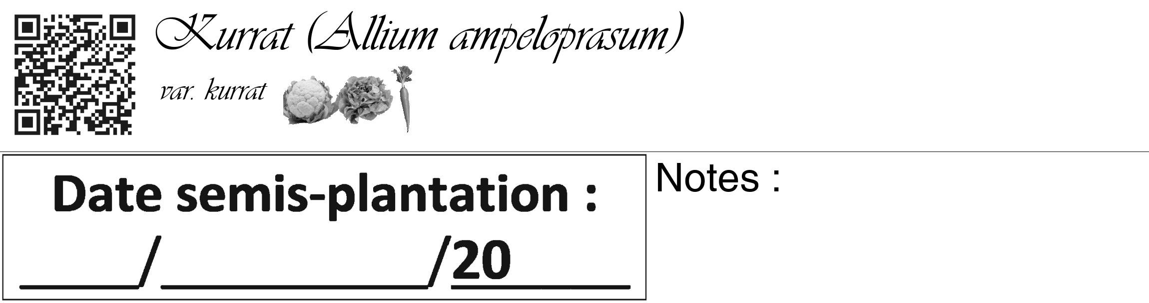 Étiquette de : Allium ampeloprasum var. kurrat - format c - style noire60_basique_basiqueviv avec qrcode et comestibilité simplifiée