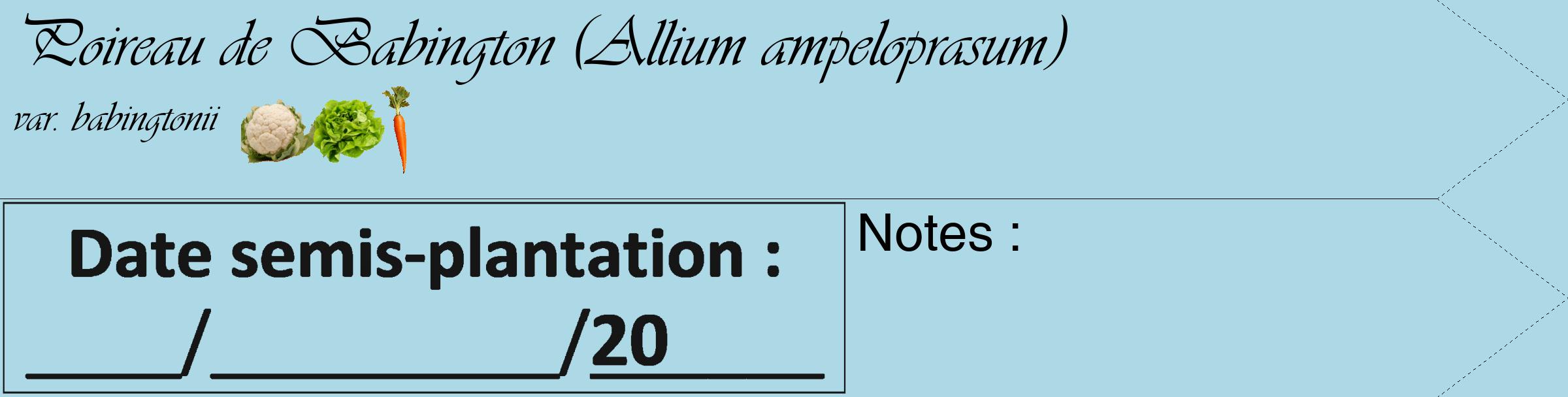 Étiquette de : Allium ampeloprasum var. babingtonii - format c - style noire0_simple_simpleviv avec comestibilité simplifiée