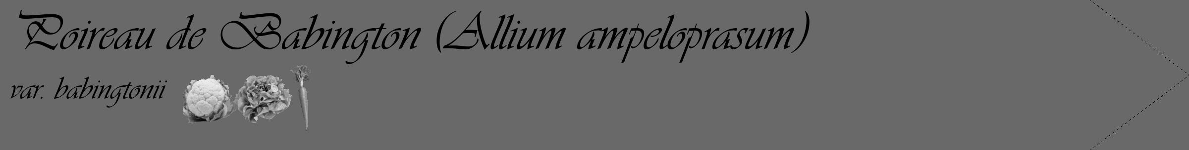 Étiquette de : Allium ampeloprasum var. babingtonii - format c - style noire11_simple_simpleviv avec comestibilité simplifiée