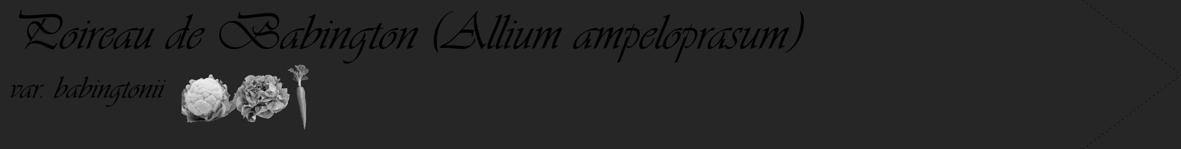 Étiquette de : Allium ampeloprasum var. babingtonii - format c - style noire29_simple_simpleviv avec comestibilité simplifiée