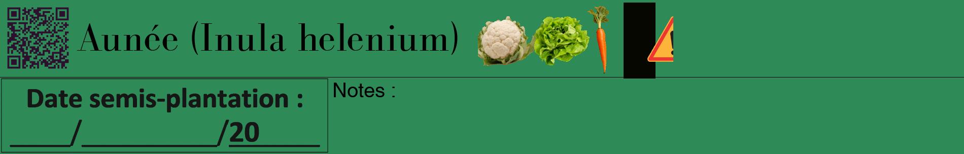 Étiquette de : Inula helenium - format a - style noire11basiquebod avec qrcode et comestibilité simplifiée