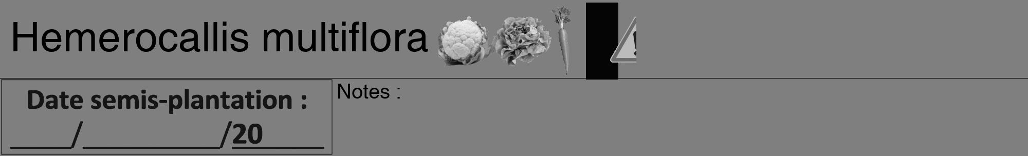 Étiquette de : Hemerocallis multiflora - format a - style noire57hel avec comestibilité simplifiée