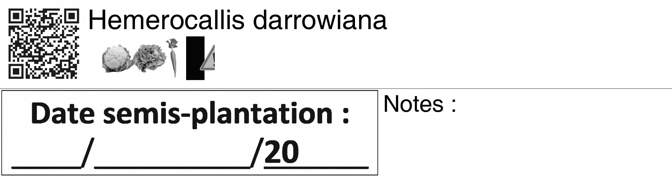 Étiquette de : Hemerocallis darrowiana - format c - style noire60_basiquegrrvhel avec qrcode et comestibilité simplifiée