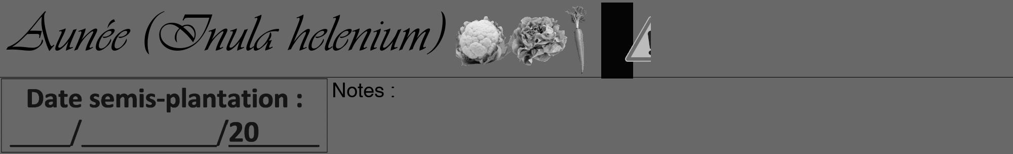 Étiquette de : Inula helenium - format a - style noire6viv avec comestibilité simplifiée