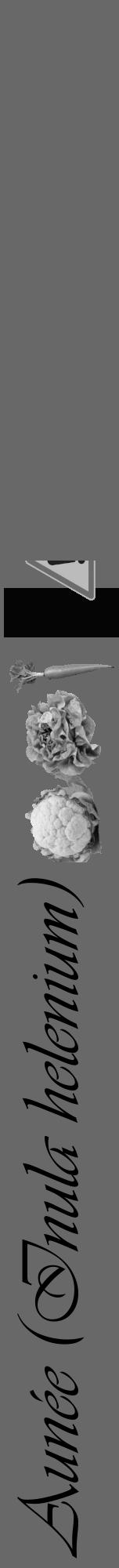 Étiquette de : Inula helenium - format a - style noire6viv avec comestibilité simplifiée - position verticale