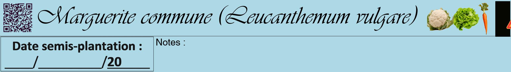 Étiquette de : Leucanthemum vulgare - format a - style noire0viv avec qrcode et comestibilité simplifiée