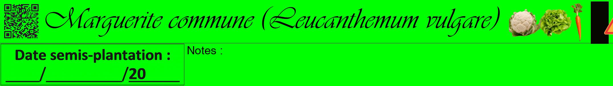 Étiquette de : Leucanthemum vulgare - format a - style noire16simpleviv avec qrcode et comestibilité simplifiée