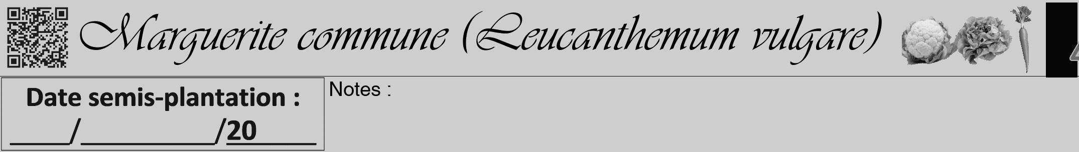 Étiquette de : Leucanthemum vulgare - format a - style noire17viv avec qrcode et comestibilité simplifiée