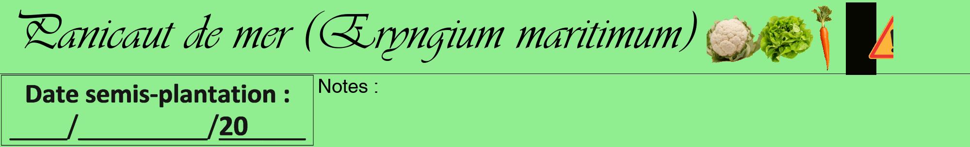 Étiquette de : Eryngium maritimum - format a - style noire15viv avec comestibilité simplifiée