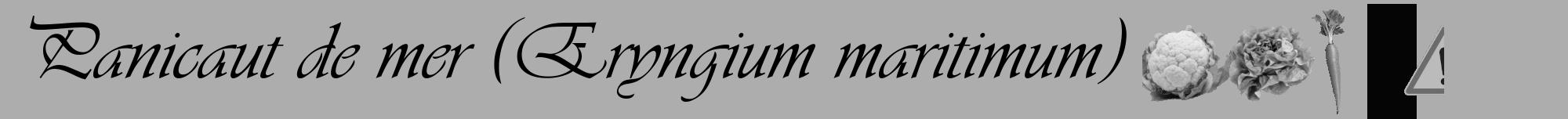 Étiquette de : Eryngium maritimum - format a - style noire22viv avec comestibilité simplifiée