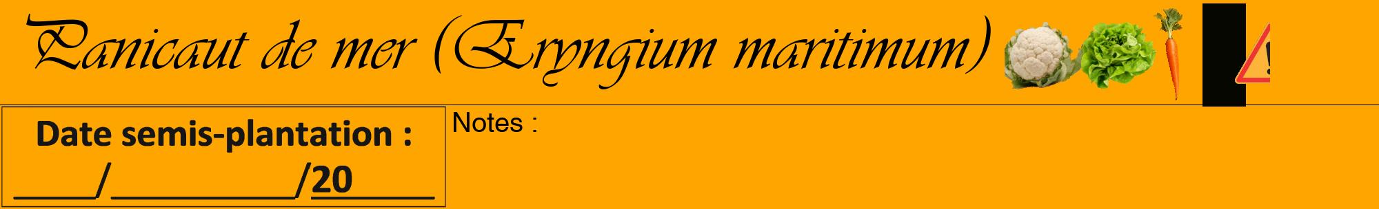 Étiquette de : Eryngium maritimum - format a - style noire22viv avec comestibilité simplifiée