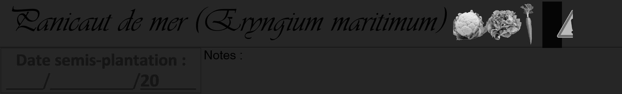 Étiquette de : Eryngium maritimum - format a - style noire29viv avec comestibilité simplifiée