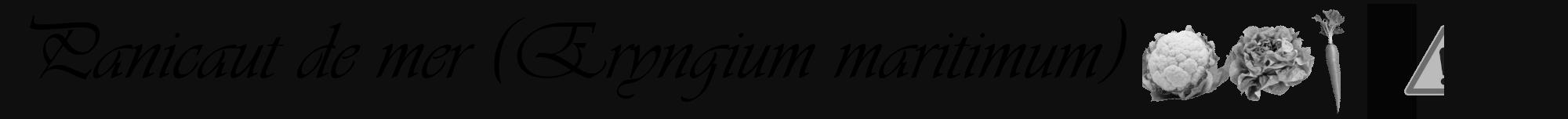 Étiquette de : Eryngium maritimum - format a - style noire7viv avec comestibilité simplifiée
