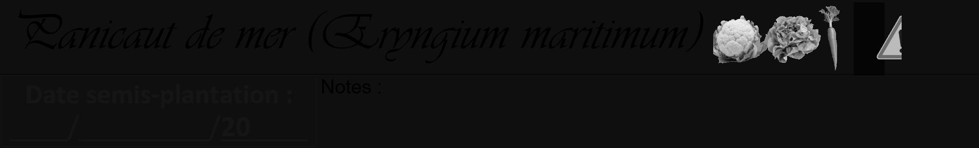 Étiquette de : Eryngium maritimum - format a - style noire7viv avec comestibilité simplifiée