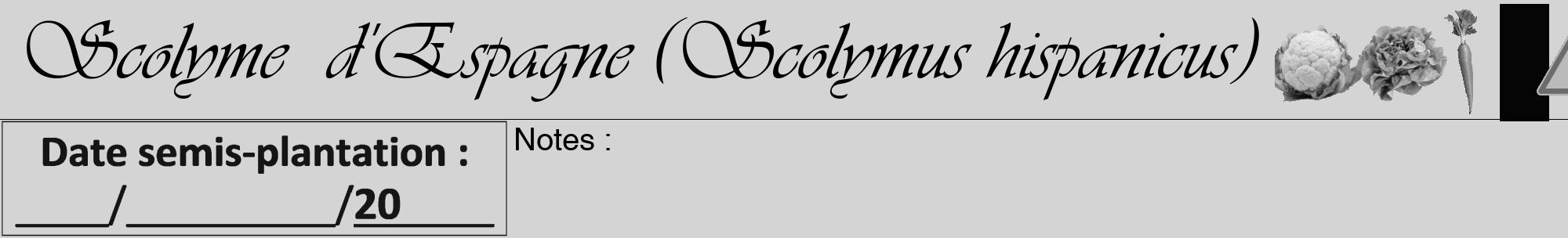 Étiquette de : Scolymus hispanicus - format a - style noire40viv avec comestibilité simplifiée