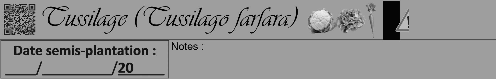 Étiquette de : Tussilago farfara - format a - style noire23basiqueviv avec qrcode et comestibilité simplifiée