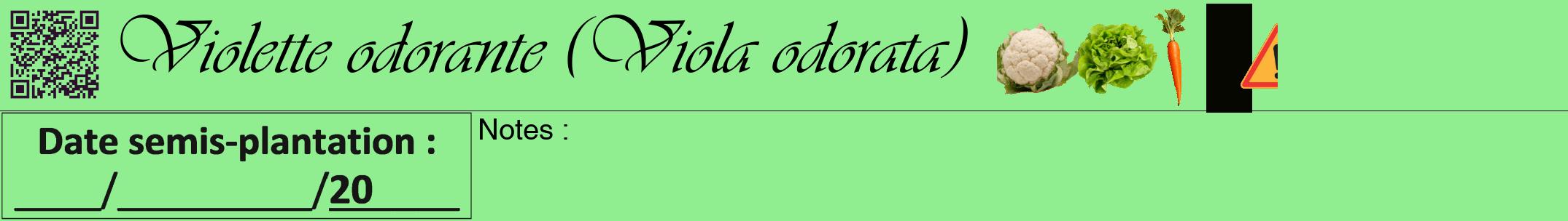 Étiquette de : Viola odorata - format a - style noire15viv avec qrcode et comestibilité simplifiée