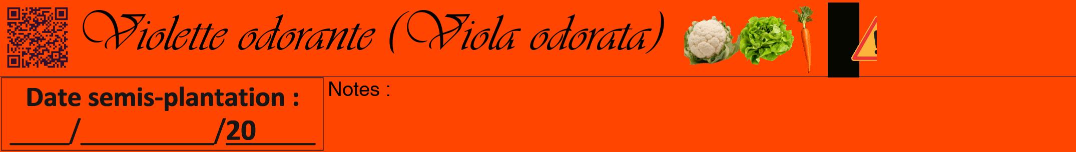 Étiquette de : Viola odorata - format a - style noire26viv avec qrcode et comestibilité simplifiée