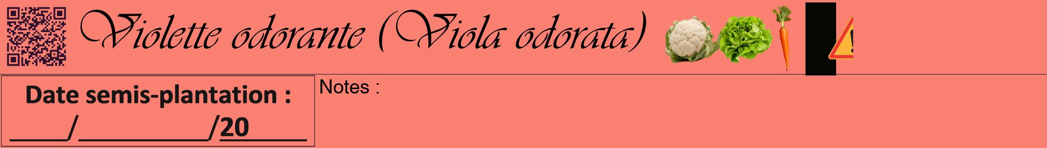 Étiquette de : Viola odorata - format a - style noire38viv avec qrcode et comestibilité simplifiée