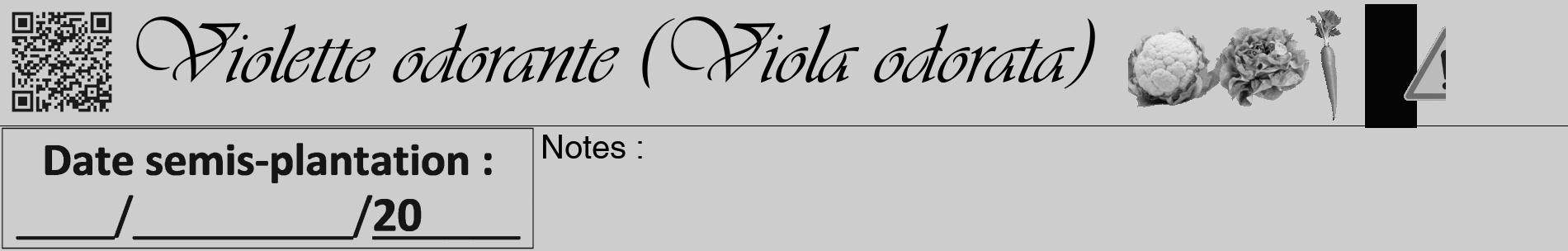 Étiquette de : Viola odorata - format a - style noire41basiqueviv avec qrcode et comestibilité simplifiée