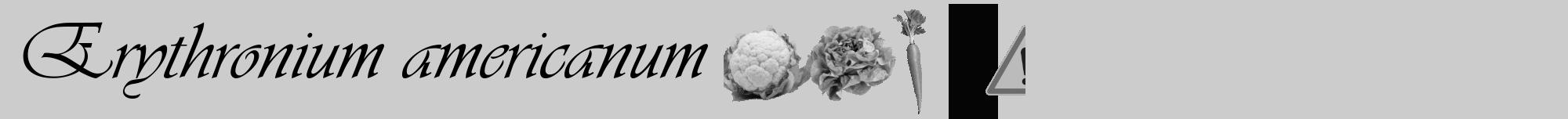 Étiquette de : Erythronium americanum - format a - style noire0viv avec comestibilité simplifiée